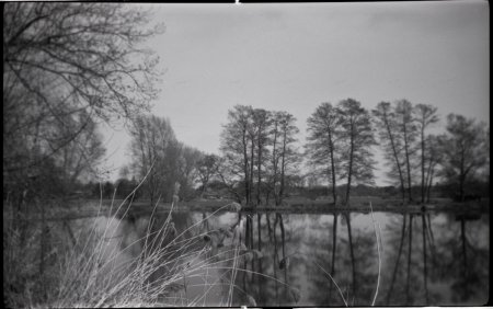 Am Weiher