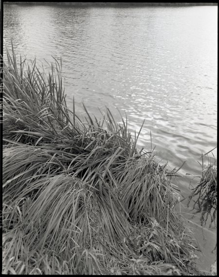 Am See