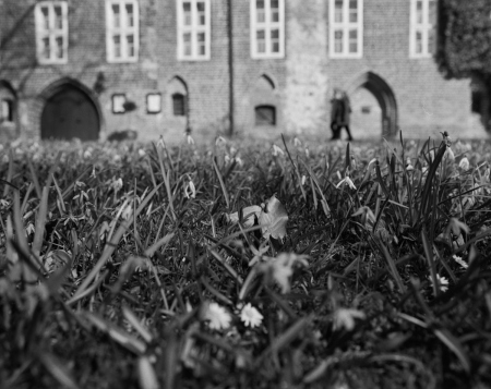 Vor dem Kloster Wienhausen