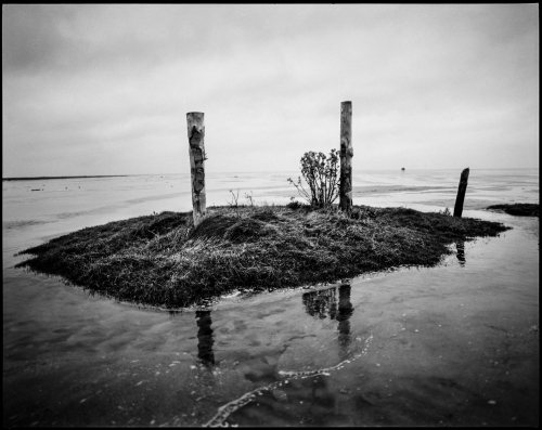 mudflat